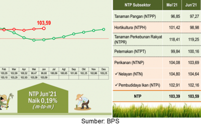 Farmer’s Exchange Rate (NTP) June 2021 Increased by 0.19%